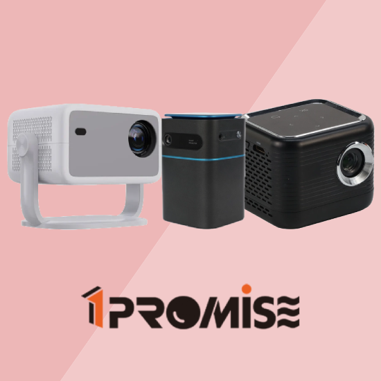 1PROMISE