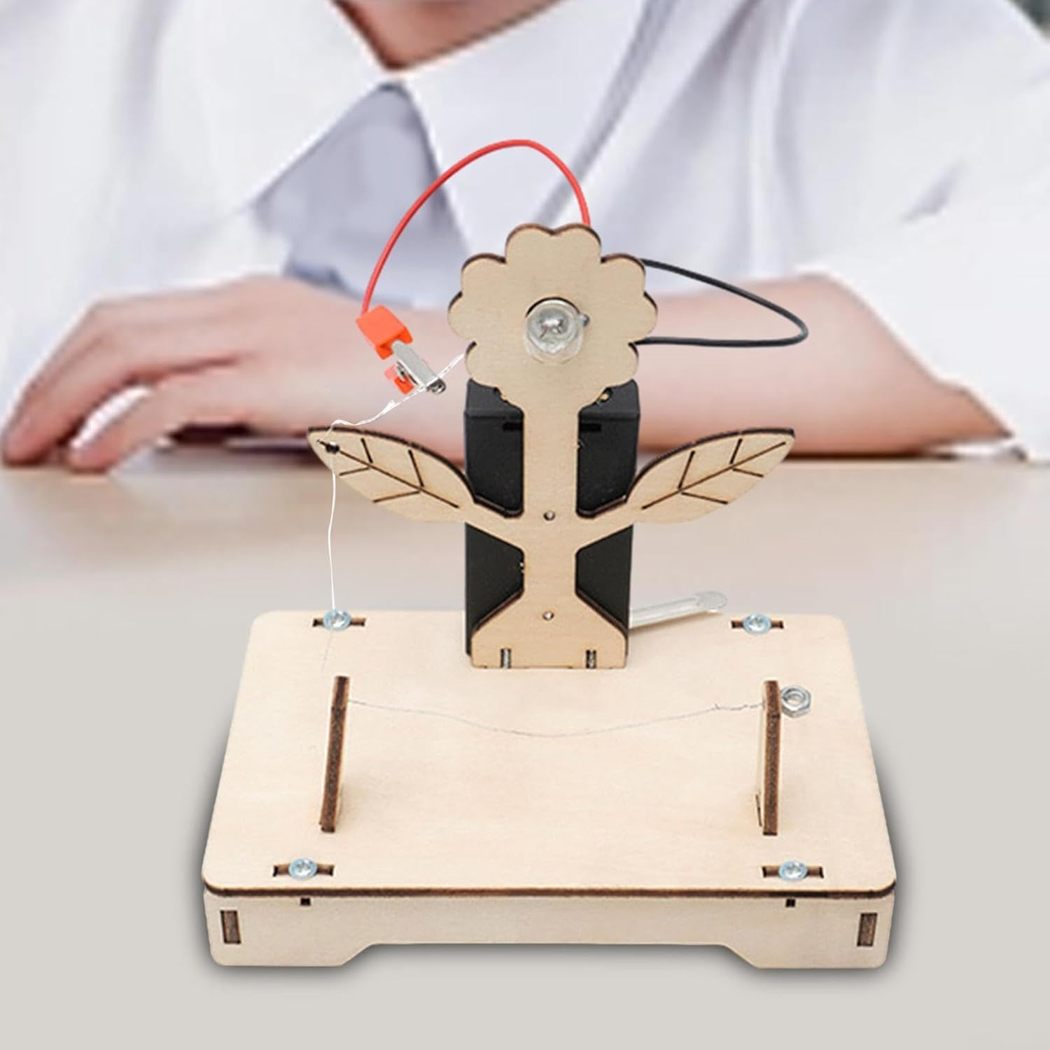 DIY wooden light kit