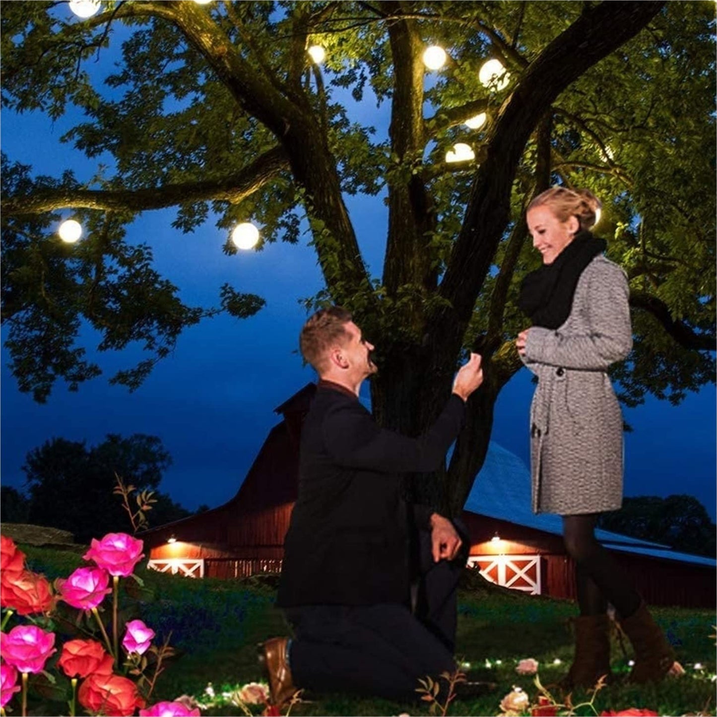 Solar Rose Flower Lights Outdoor Solar Lights Decorative Waterproof Solar Landscape Lights With 6 Rose Flowers Decoration For Christmas, Cemetery, Walkway, Courtyard, Pack Of 1 - Red - RS6149