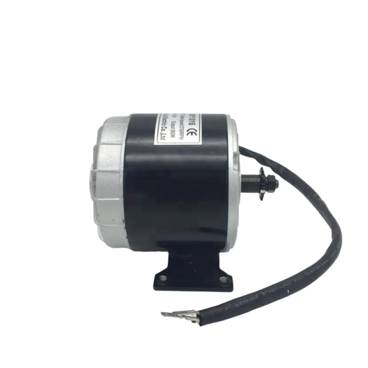 24V 350W Brush Motor