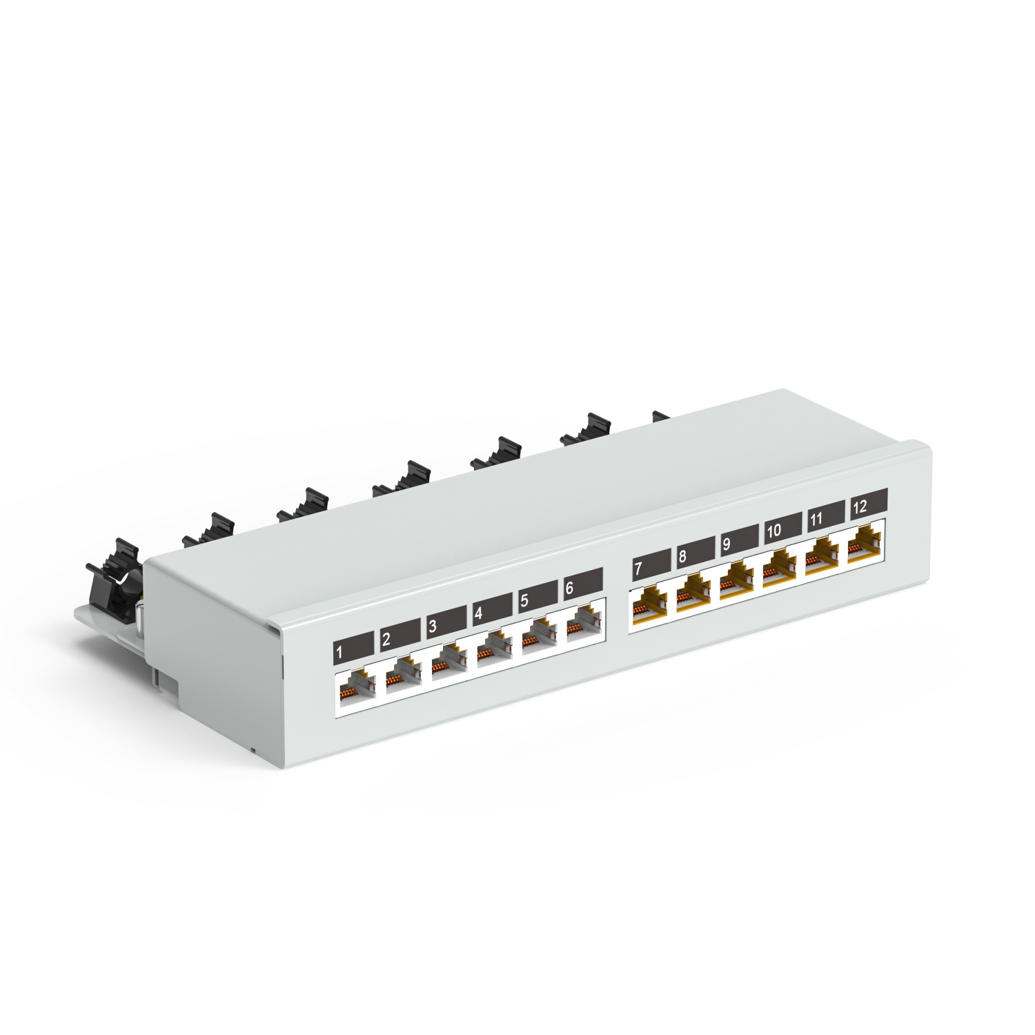 Compact 12-Port Angled Patch Panel