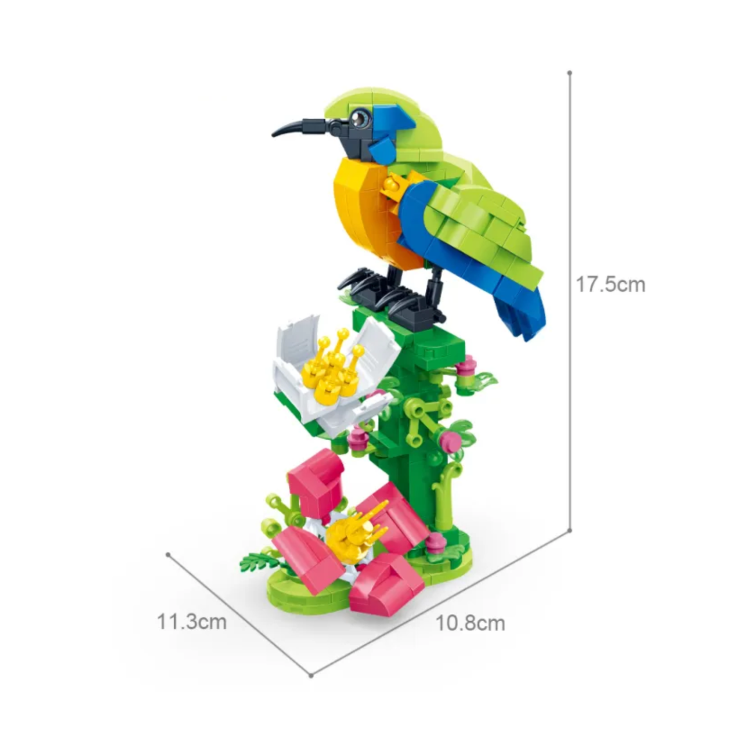 Active Orange-bellied Leafbird Kids