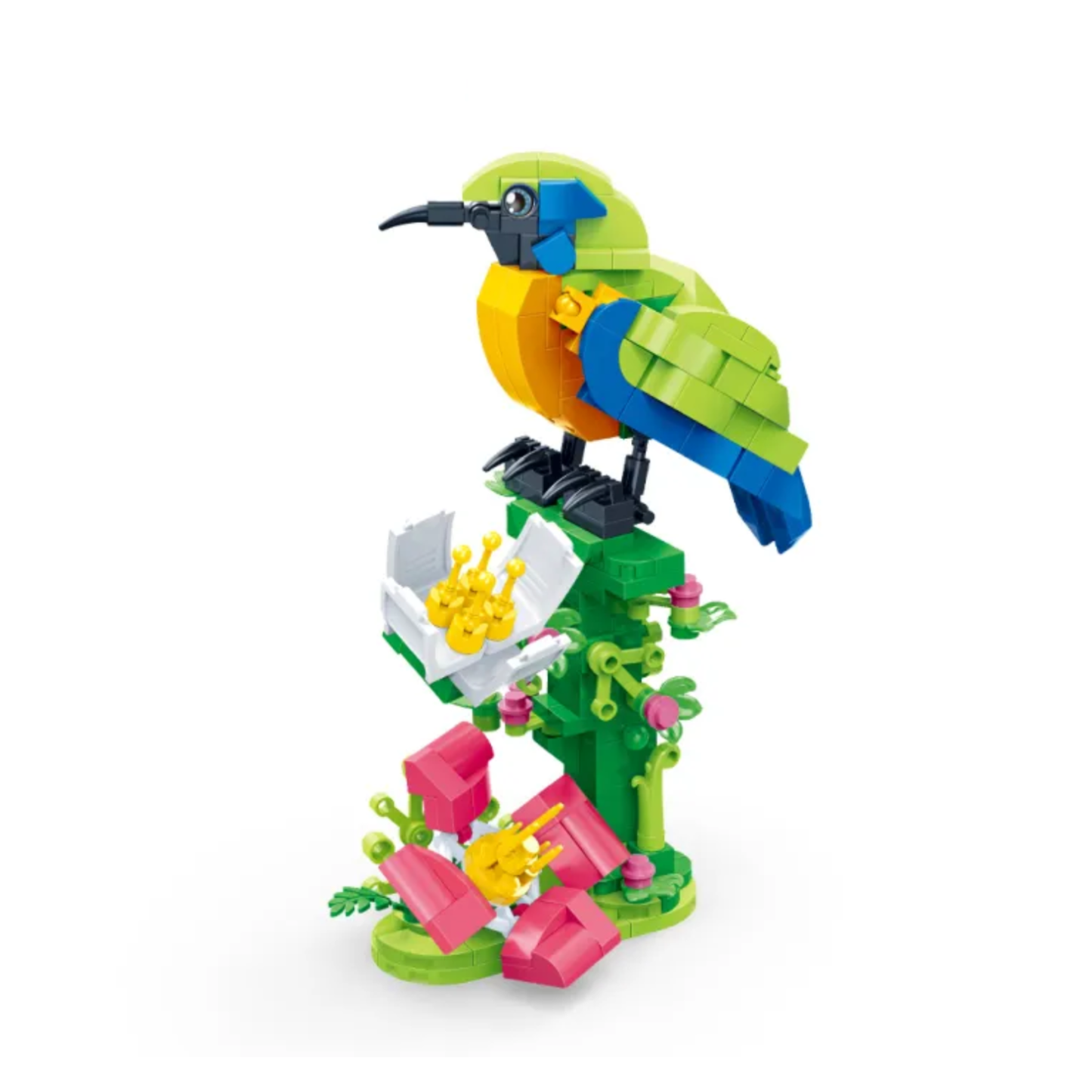 Active Orange-bellied Leafbird