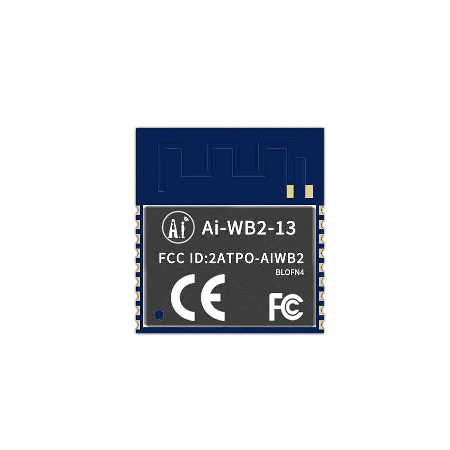 Ai-WB2-13