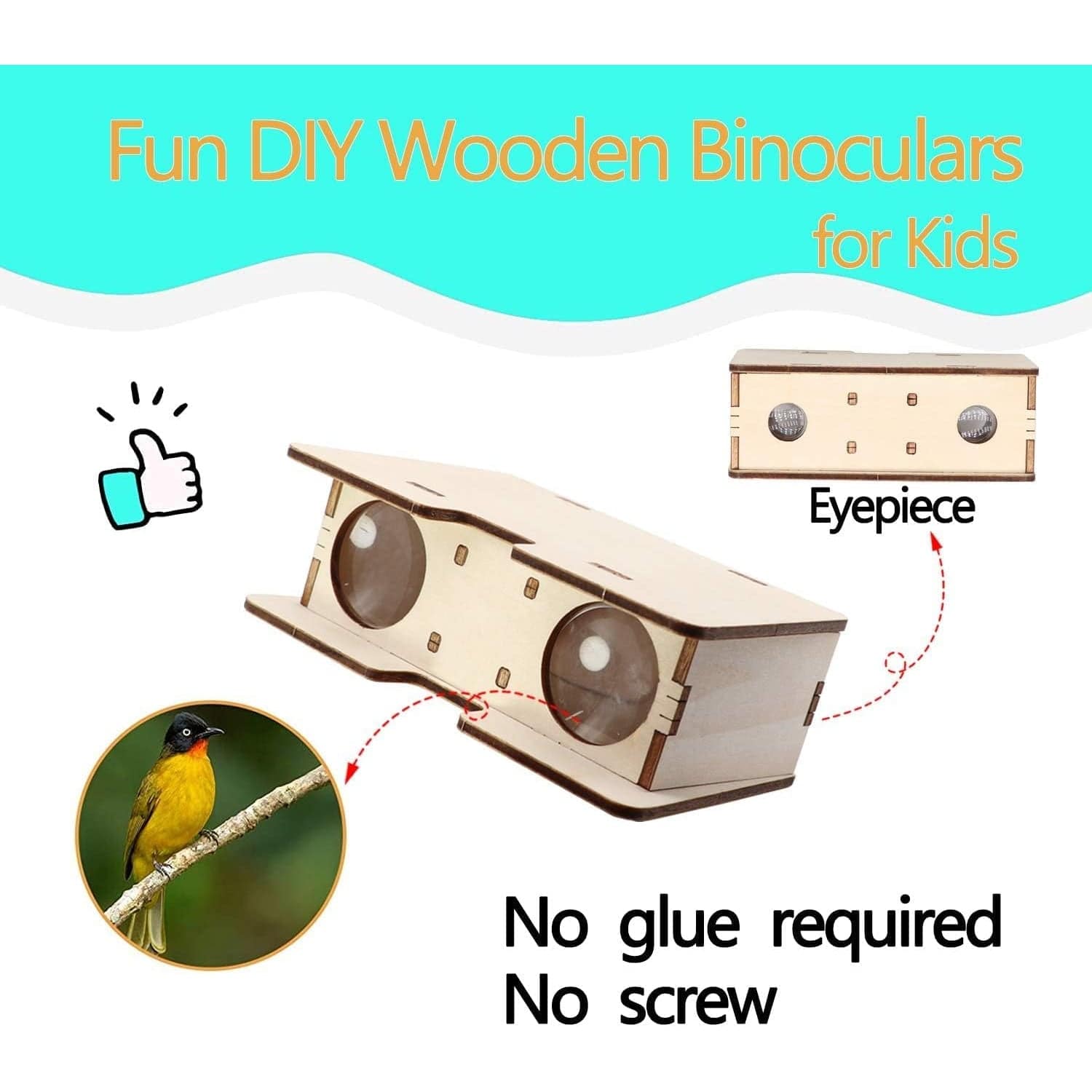 DIY 4 in 1 Wooden Science Experiment Model Kit 4 in 1 Set