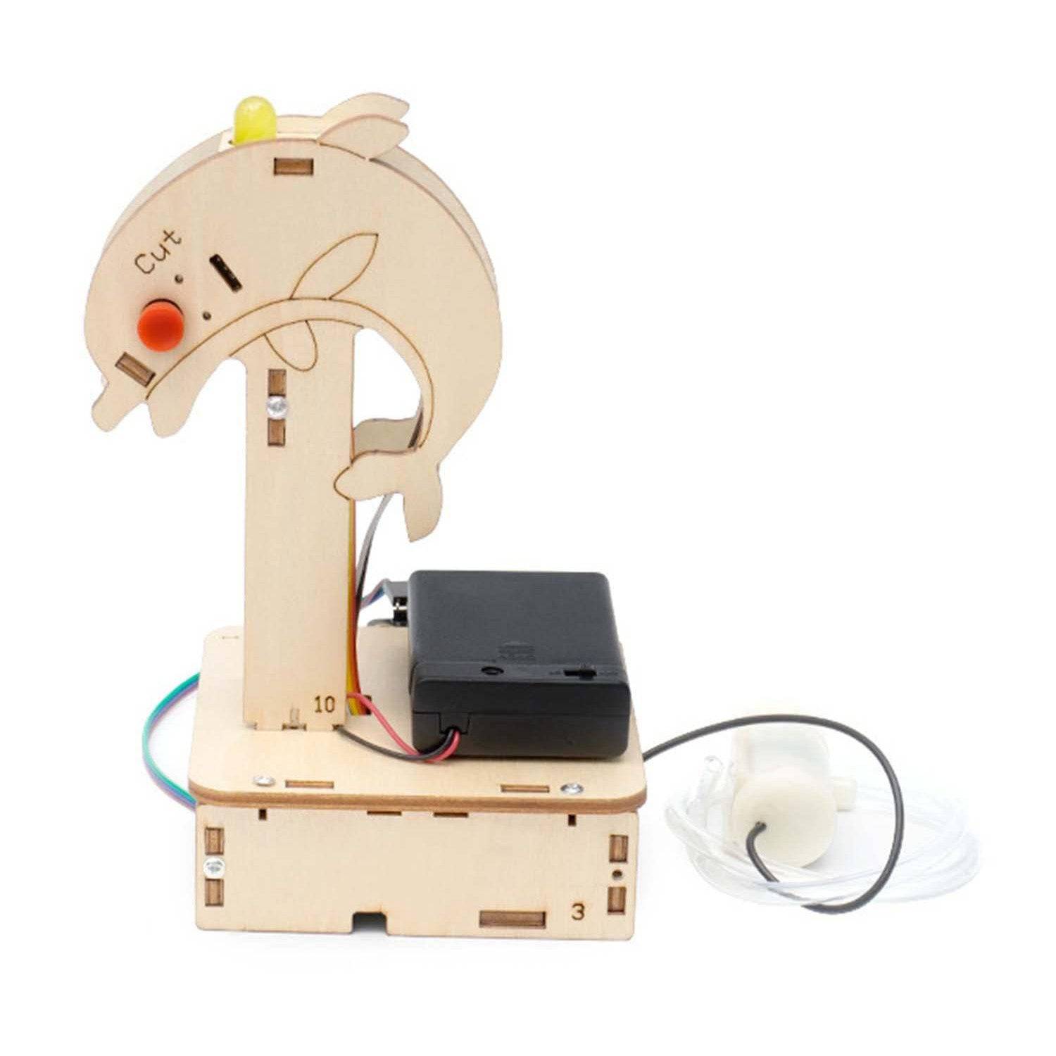 DIY Automatic Irrigation System STEM Kit Science Kit