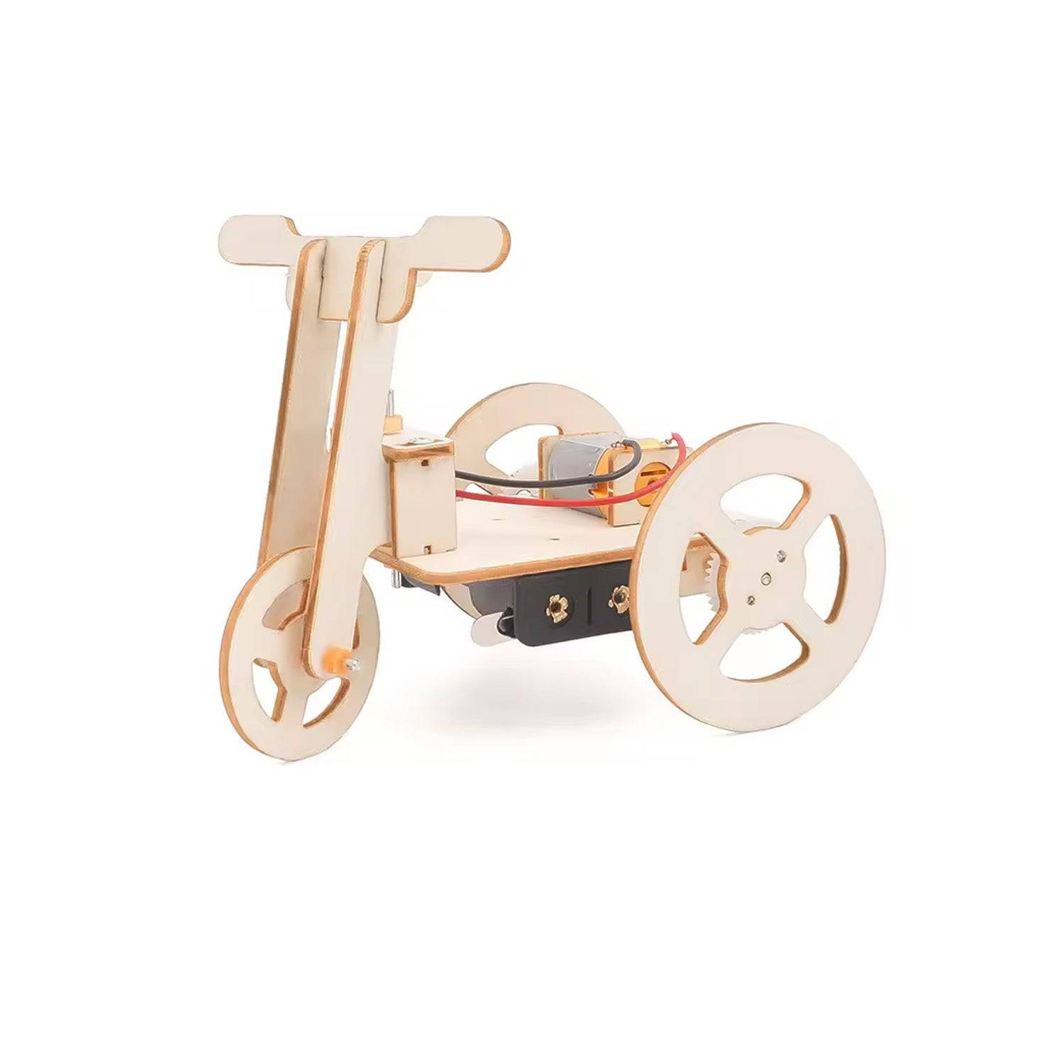 DIY Electric-Tricycle STEM Kit Custom Wood Jigsaw Puzzle