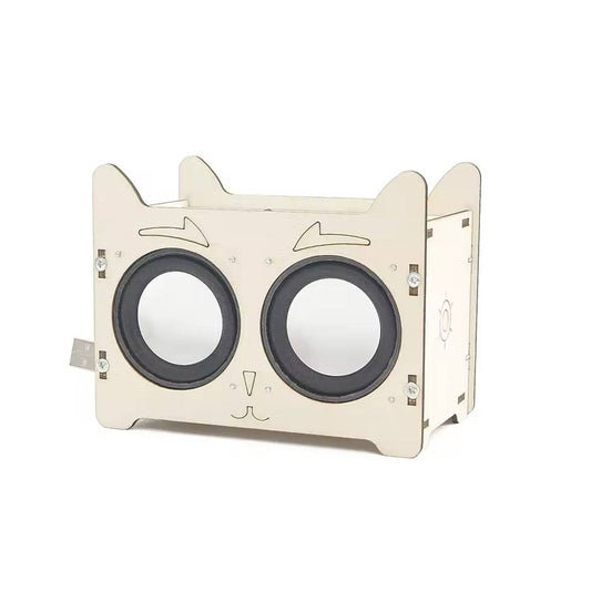 DIY Wireless Bluetooth Speaker STEM Kit Wireless Bluetooth