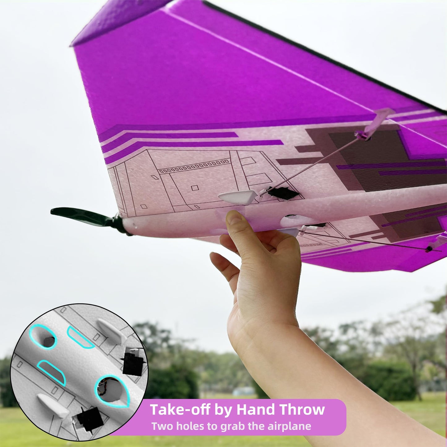 Radiolink D460 RC Airplane Ready to Fly (RTF) RC Airplane with Byme-DB Gyro FC, 3 Flight Modes, Brushless Motor 15A ESC Plane, T8S Transmitter & R8XM Voltage Telemetry RX for Beginner or Experienced - Purple - RS6982