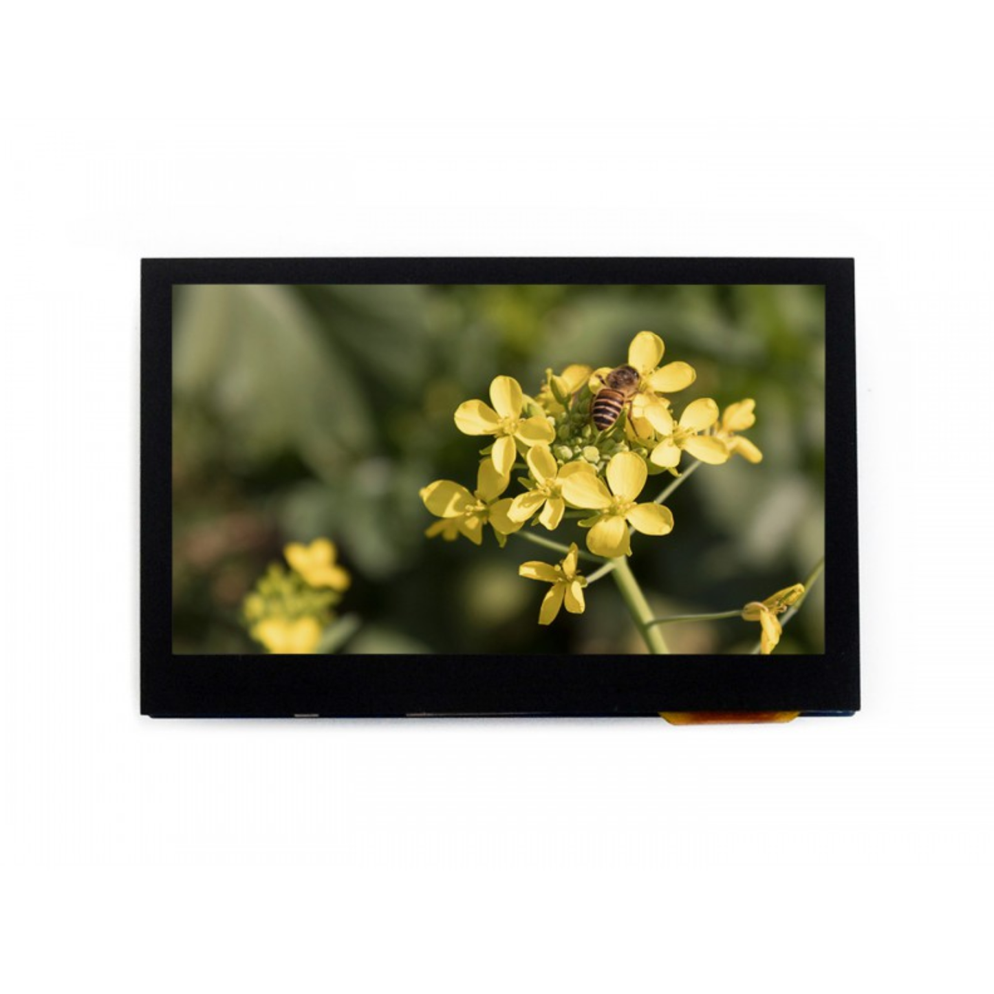 Waveshare 4.3 Inch Capacitive Touch LCD