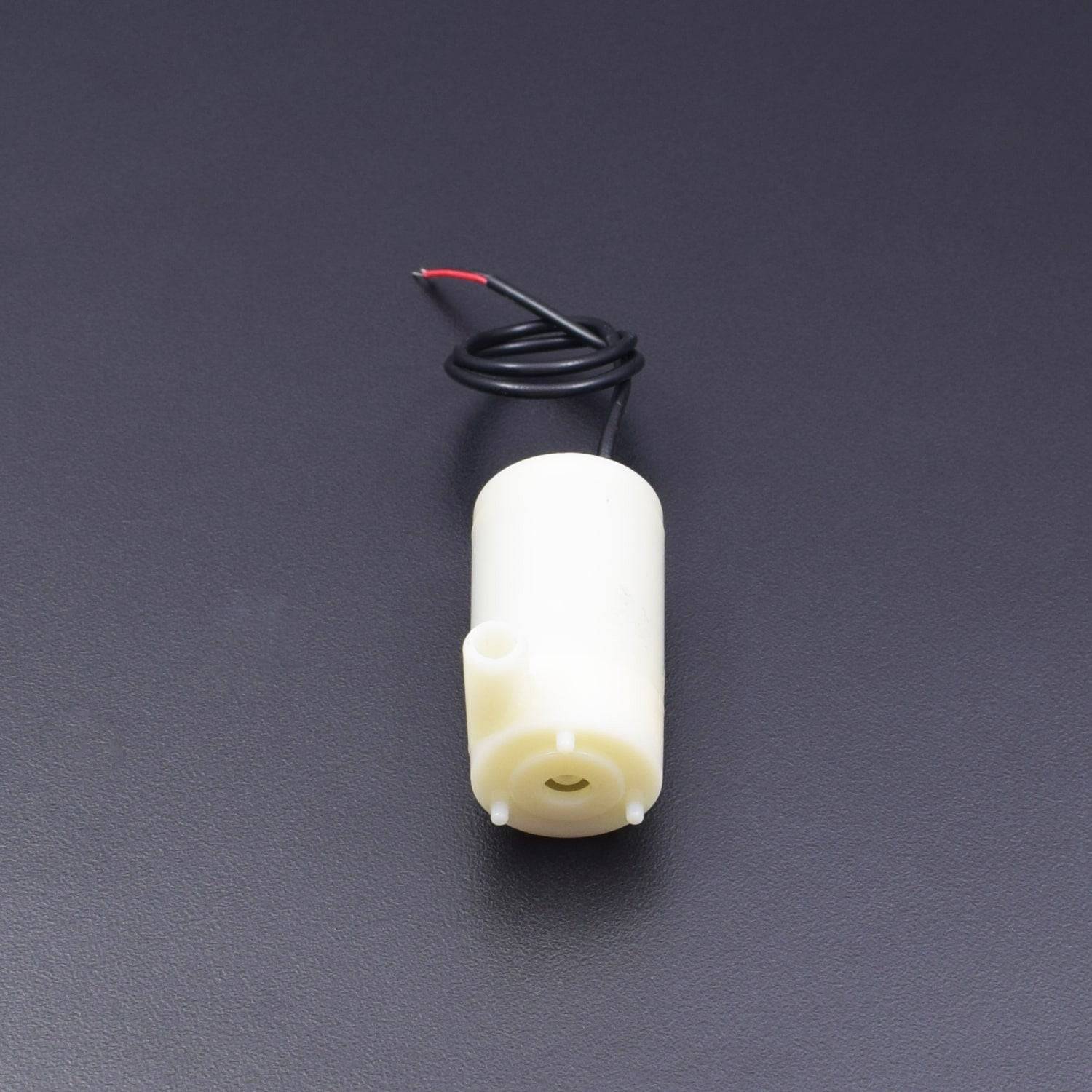 DC Pump Water Priming Pump Spray DC 12V Mini Water Pump  - RS2141 - REES52