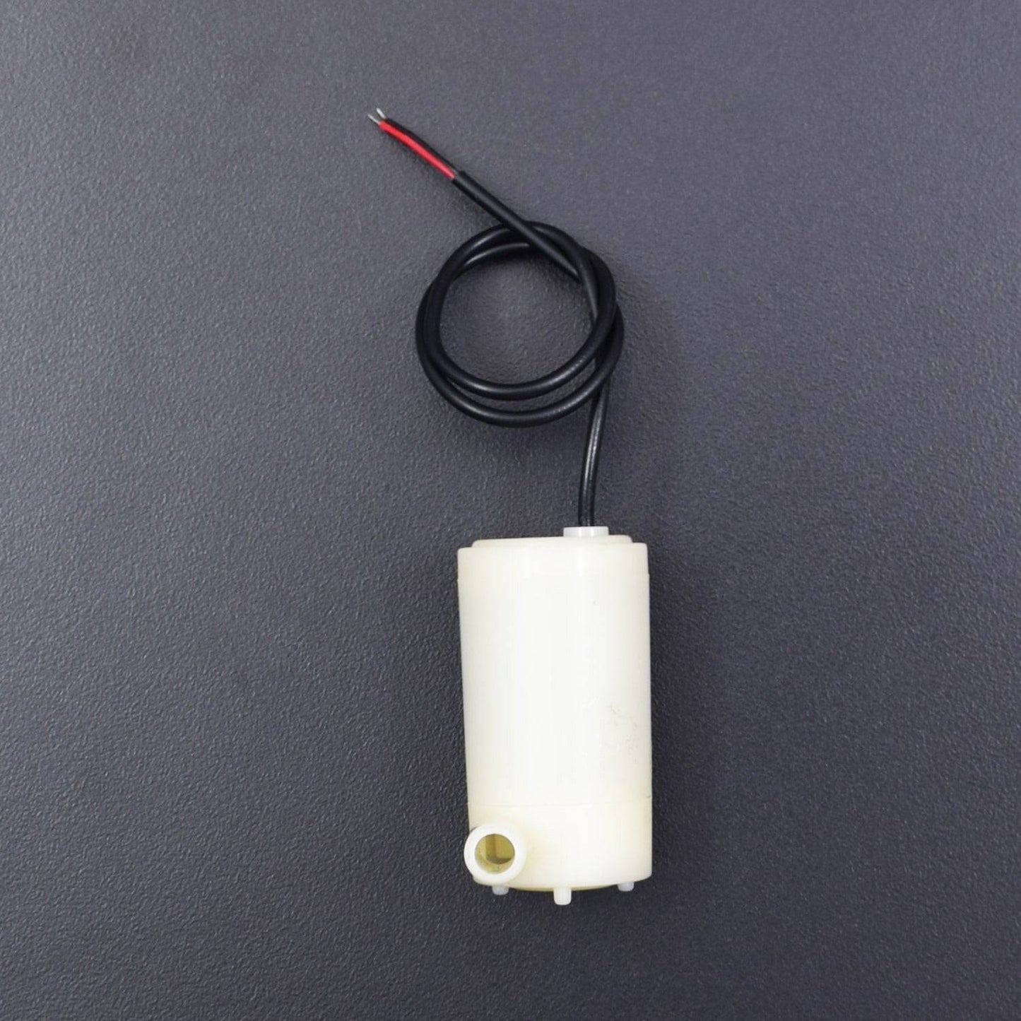 DC Pump Water Priming Pump Spray DC 12V Mini Water Pump - RS2141 - REES52
