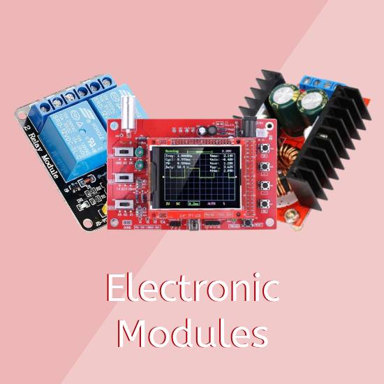Electronic Modules