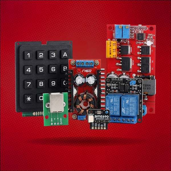 Chuo Electronics Module Flash REES52 | Electronic Modules