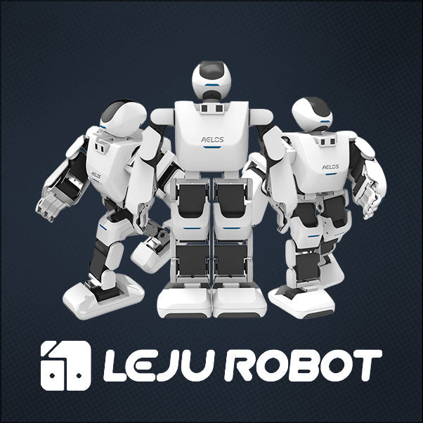 LEJU ROBOT