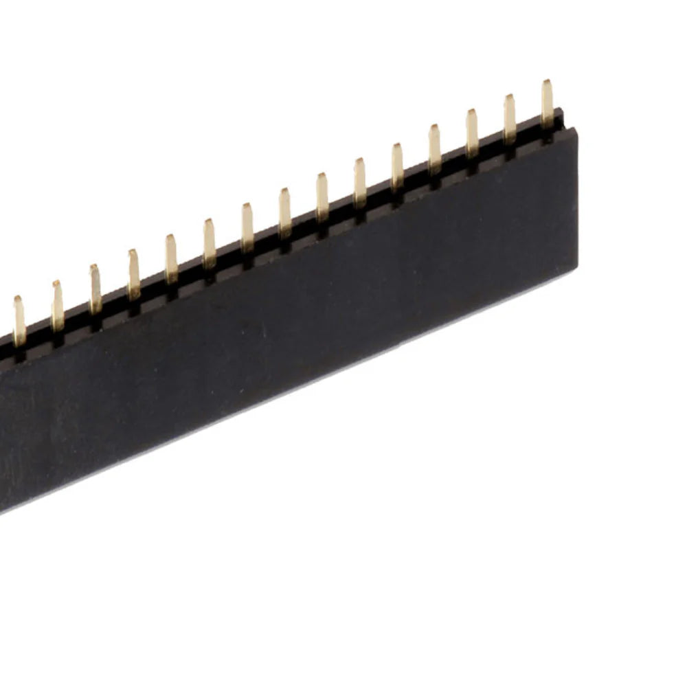 40-Pin 2.54mm Pitch Female Header