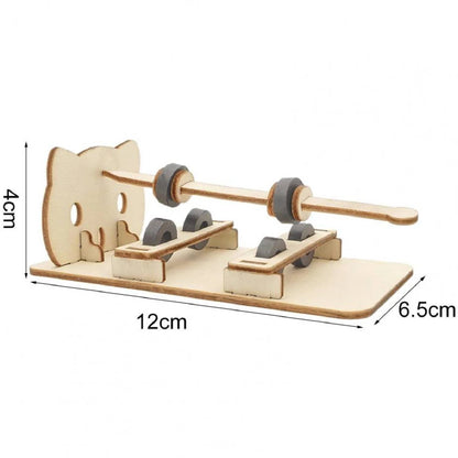 Wooden Levitating Stem Kit DIY Wooden Levitating Magnet STEM Kit Floating Magnet Wonder STEM Kit Hands-On Learning Levitating Magnet Science Kit - RS6433