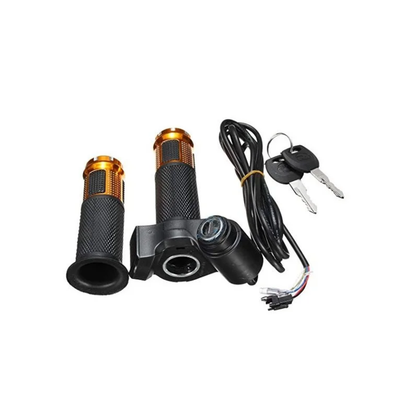 Electric Bike Throttle Lock
