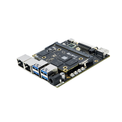 RISC-V development board