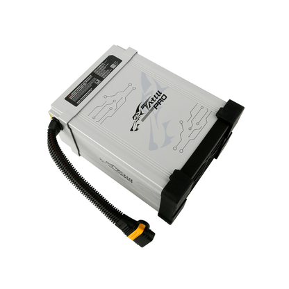 High Capacity 12S LiPo Battery