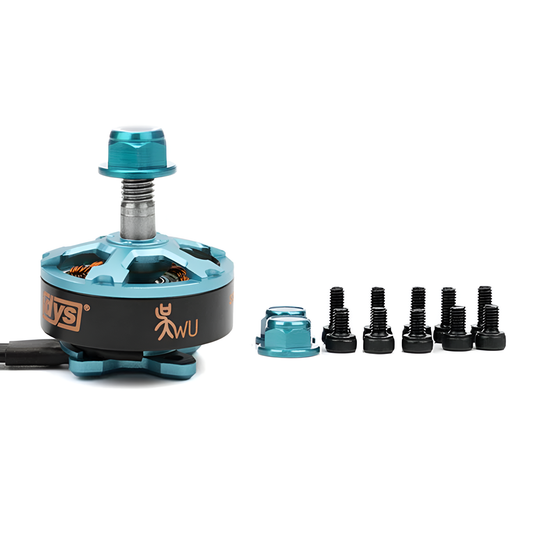 DYS Samguk Series Wu D2206 2700KV BLDC Brushless Motor