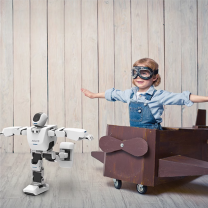 Leju AELOS LITE 19DOF Humanoid Educational Robot