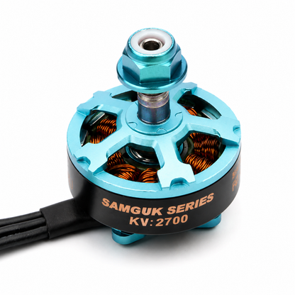 DYS Samguk Series Wu D2206 2700KV BLDC Brushless Motor