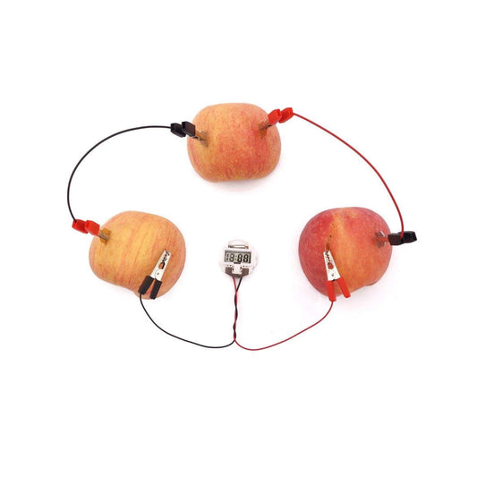 Fruit Battery-Potato Alarm Clock