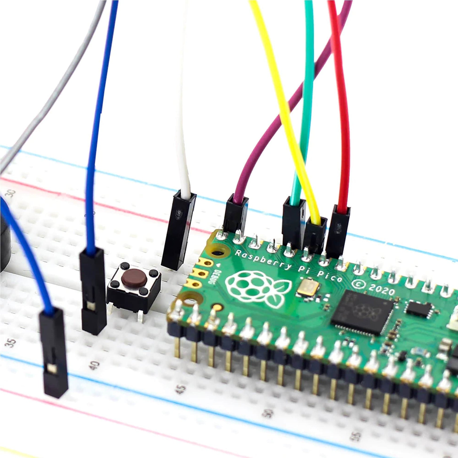 Raspberry Pi Pico Microcontroller Development Board – REES52