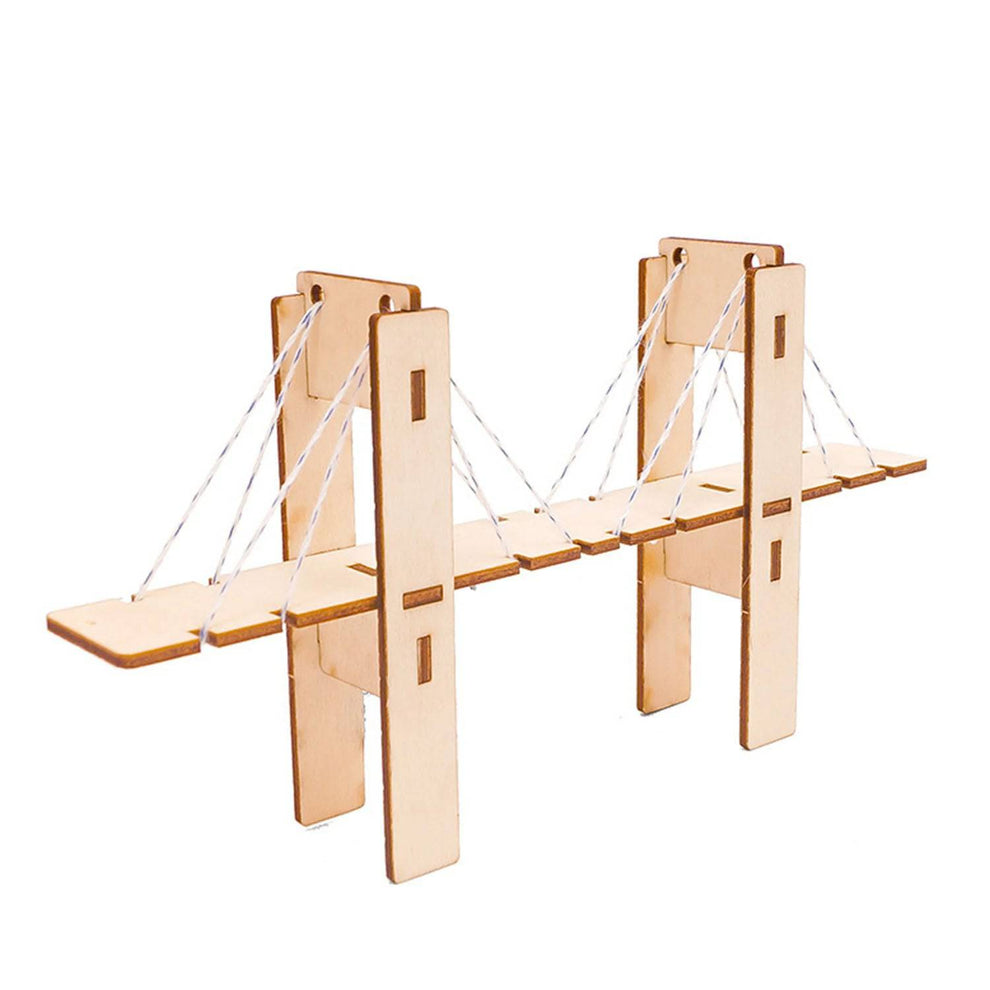 DIY Bridge STEM Kit DIY Kid Learning STEM Physical Science Kits – REES52