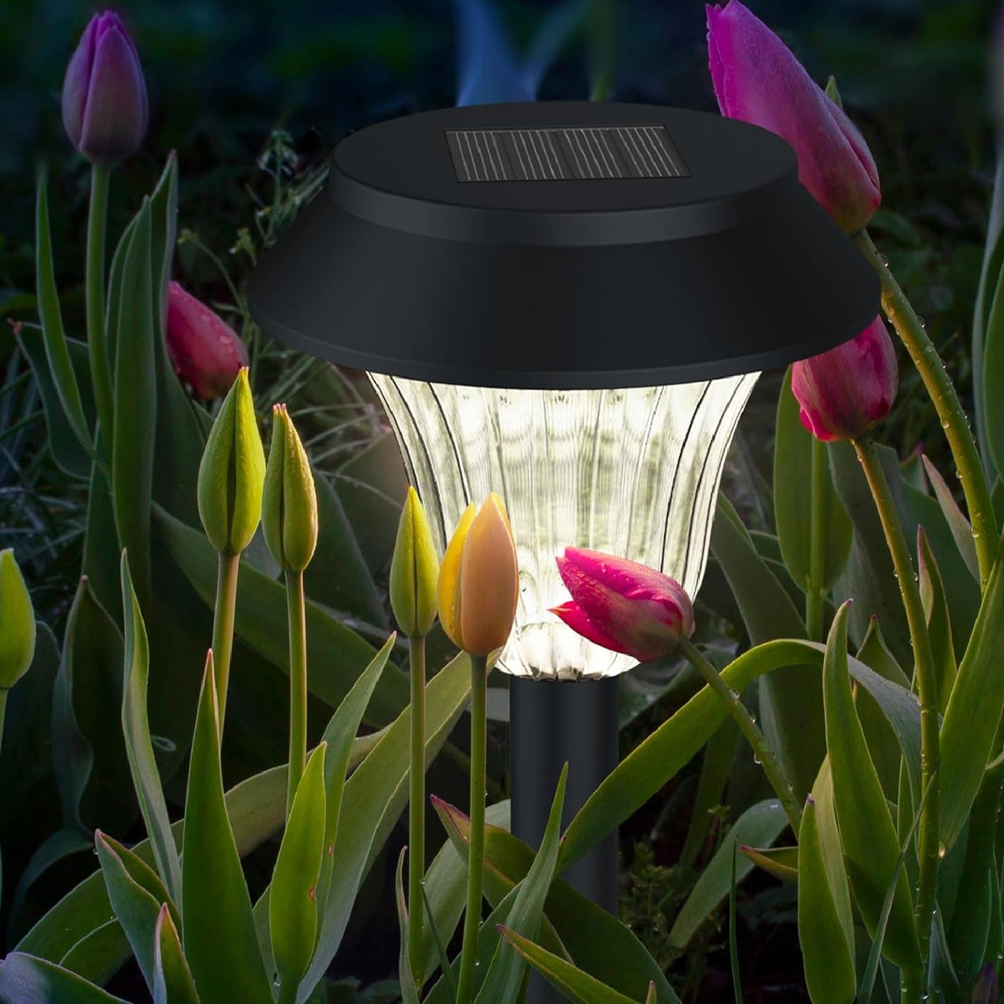 Glass Solar Pathway Lights Outdoor Solar Pathway Lights Landscape Lighting Solar Powered Garden Lights 12 Hrs Long Last Auto On/Off Garden Lights Solar Powered Waterproof, Stainless Steel LED Landscape Lighting For Yard Pack Of 1 -  RS2719