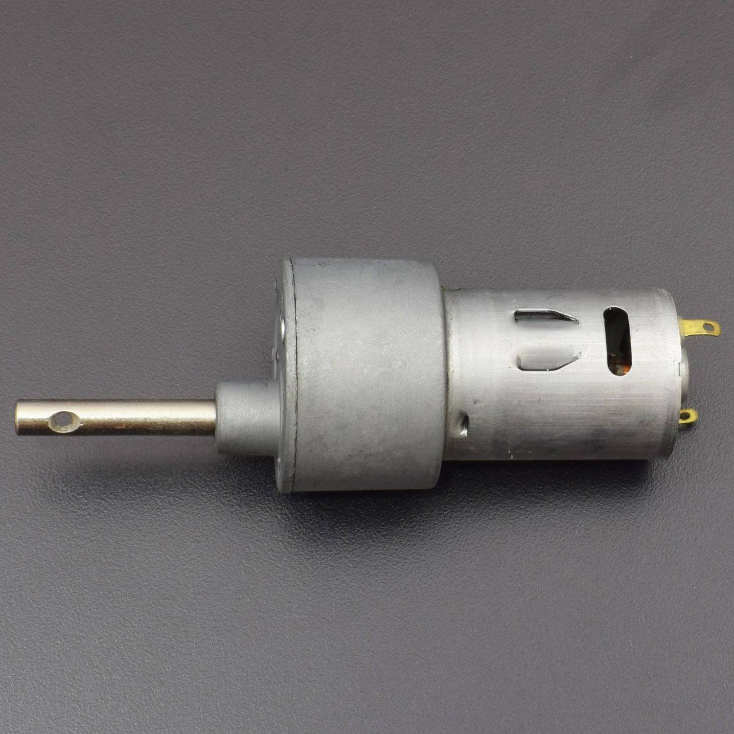 100 Rpm Dc Motor REES52 | Gear Motors