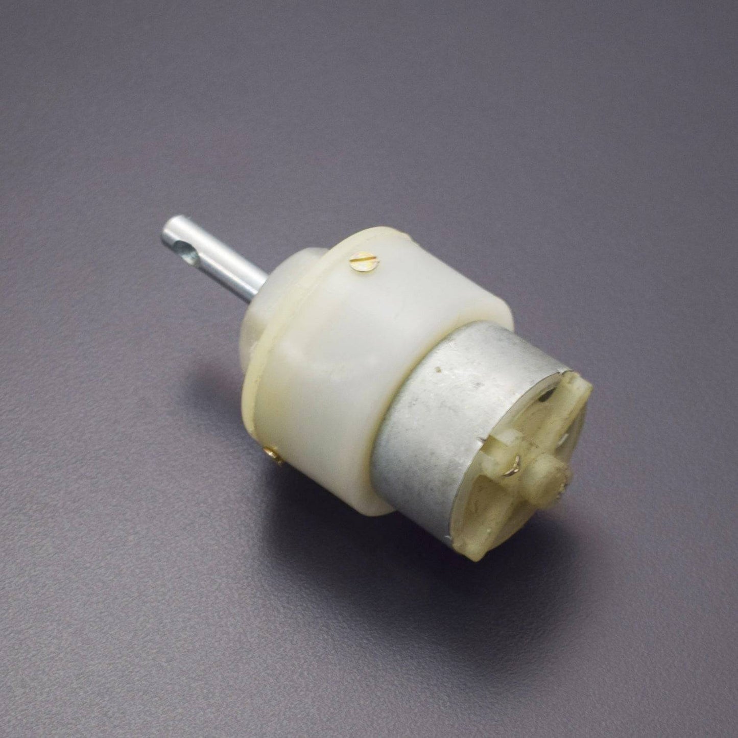 300RPM DC Geared Motor - RS1636 - REES52