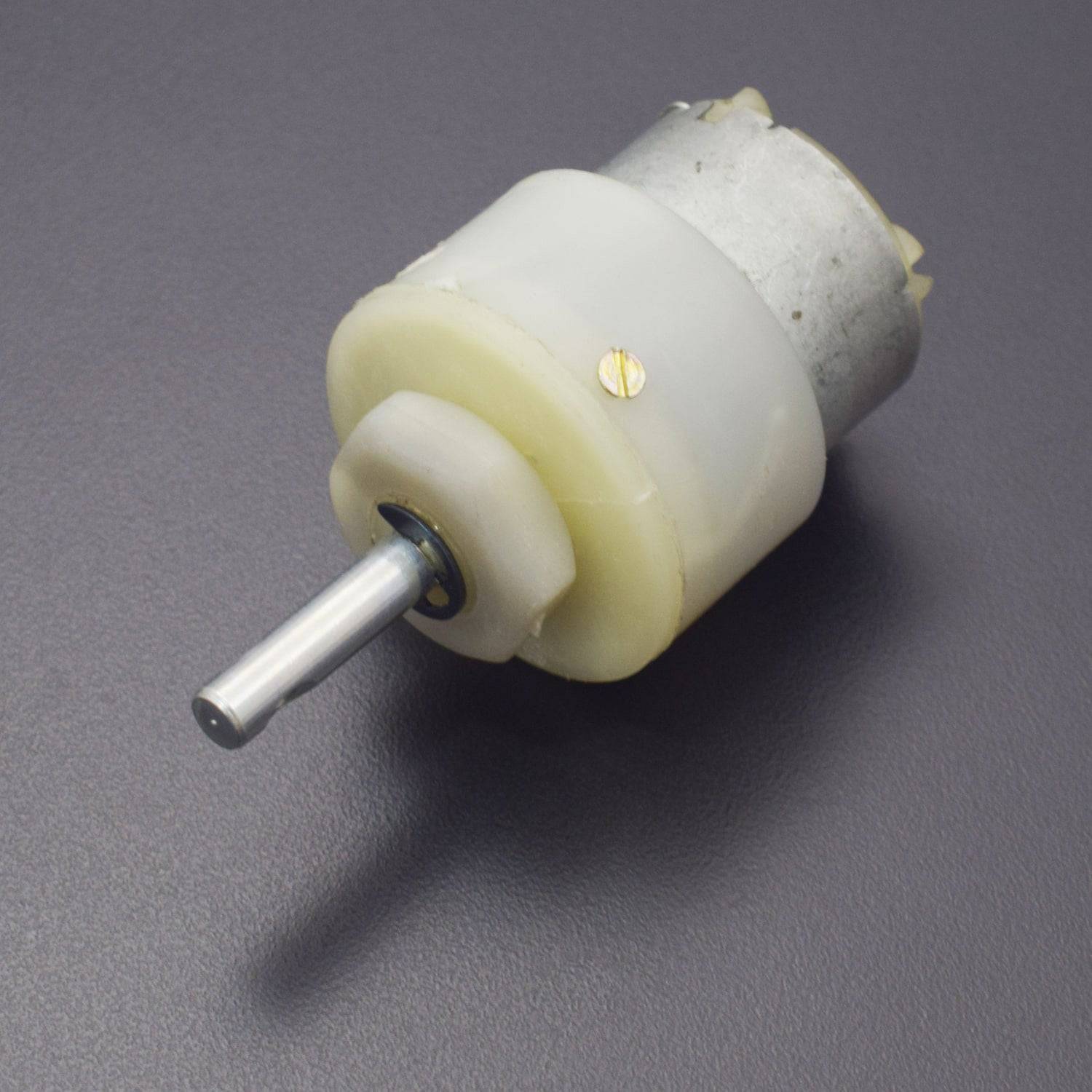 300RPM DC Geared Motor - RS1636 - REES52