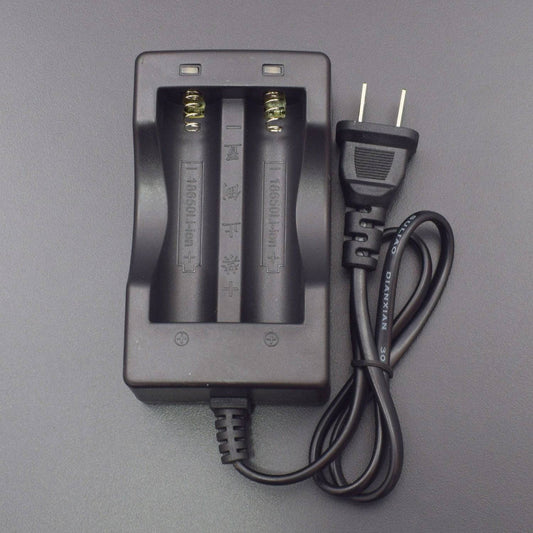 New 100-240 Volt AC Smart Charger for Two 18650 Lithium Ion Batteries (Plug: U.S.) - RS1644 - REES52