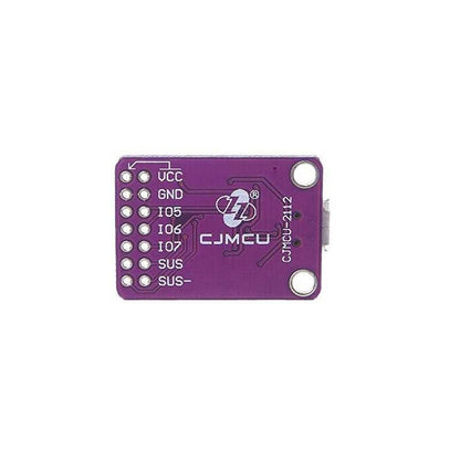 CP2112 debug board USB to I2C Communication Module- RS2910 - REES52