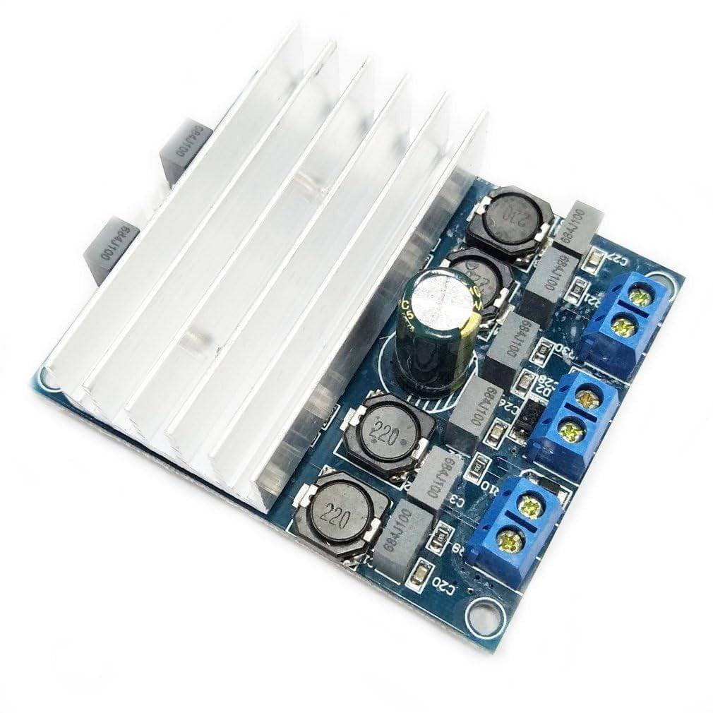 TDA7492 D Class High Power Digital Amplifier Board AMP Board 250W with Radiator-RS1202 - REES52